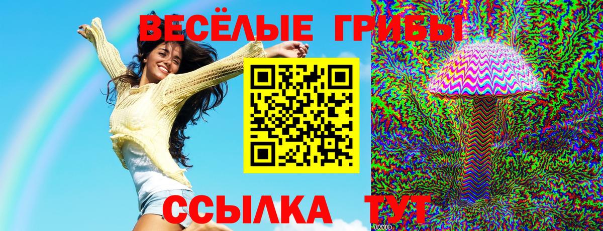 Ялуторовск  Псилоцибиновые грибы GOLDEN TEACHER  цена   Вход с VPN 